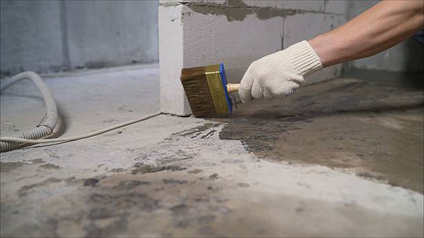 SJ Waterproofing Pros Waterproofing coverage map for Union City, MI and surrounding area
